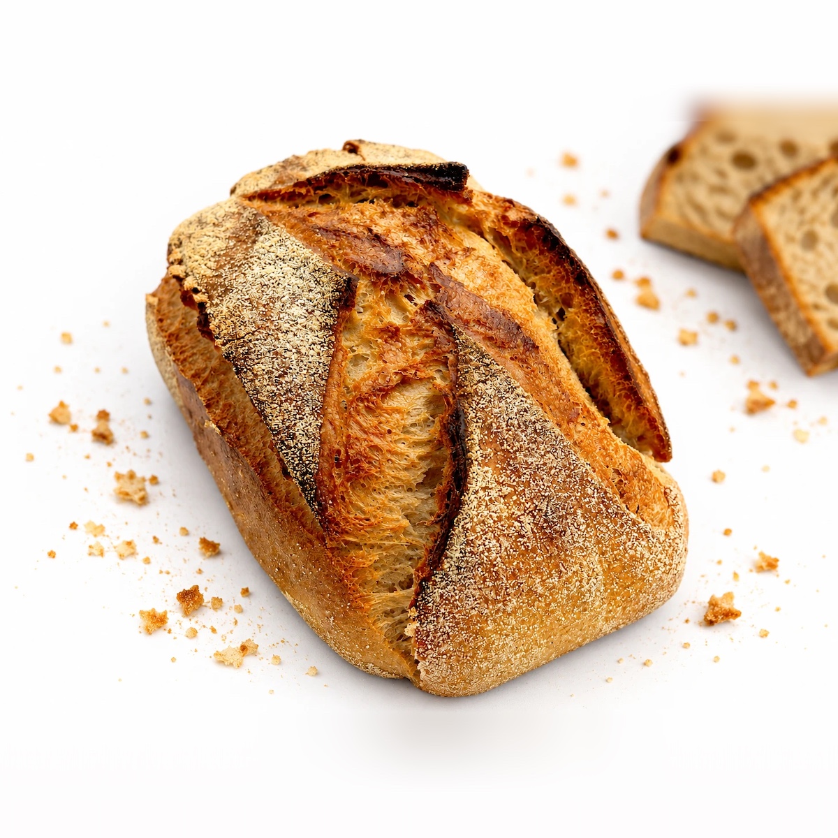 Pétri levain